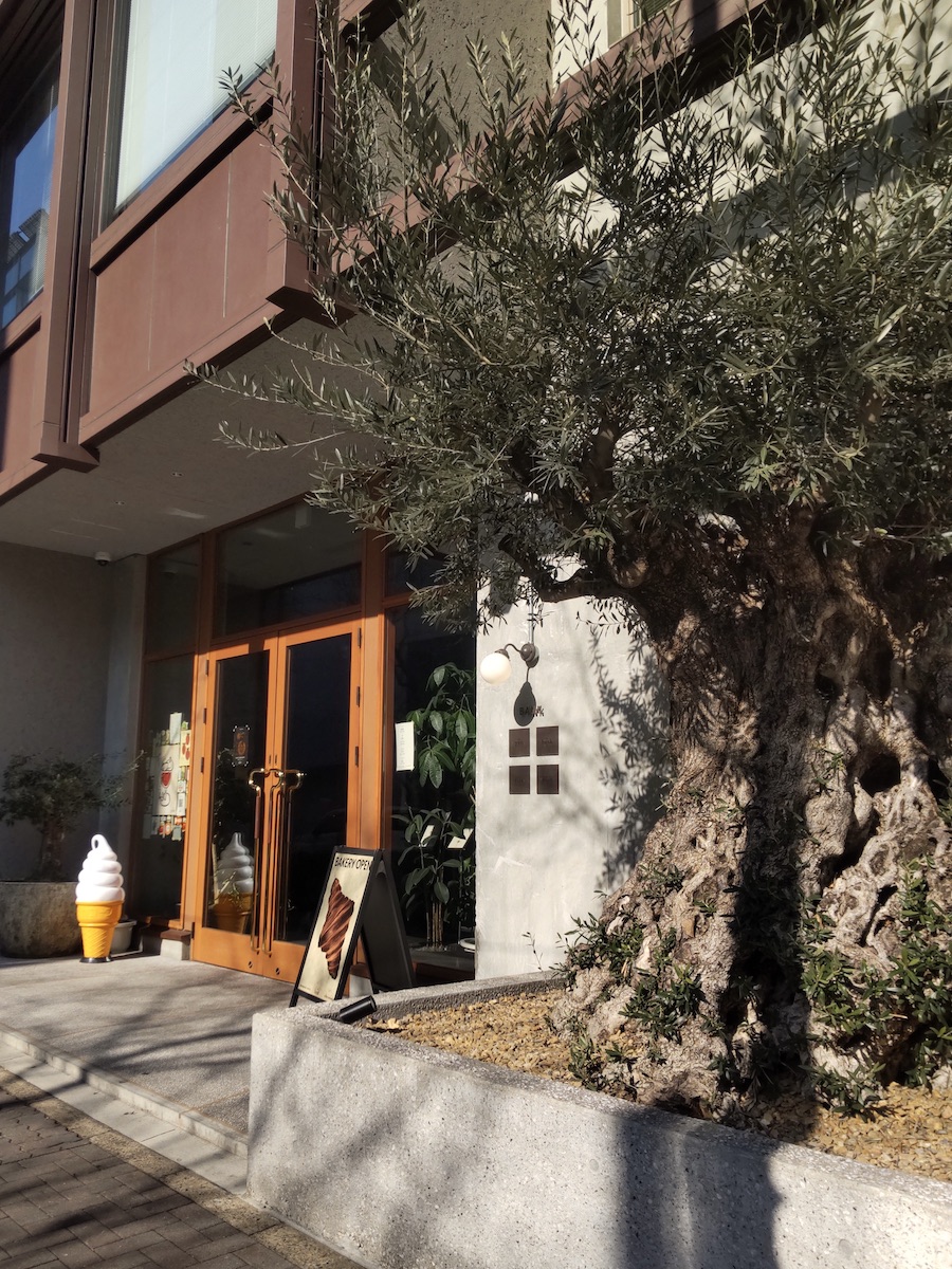 The café BANK’s symbol tree