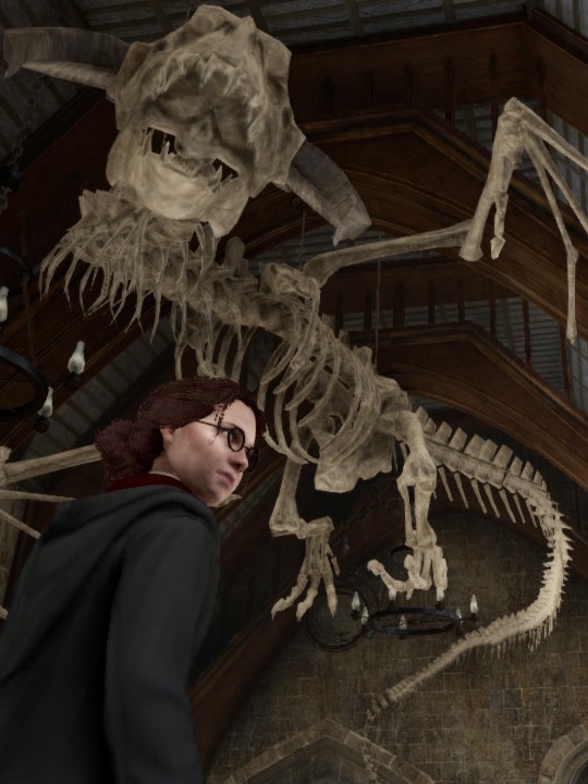 Screenshot of Emily, my character from Gryffindor House in Hogwarts Legacy