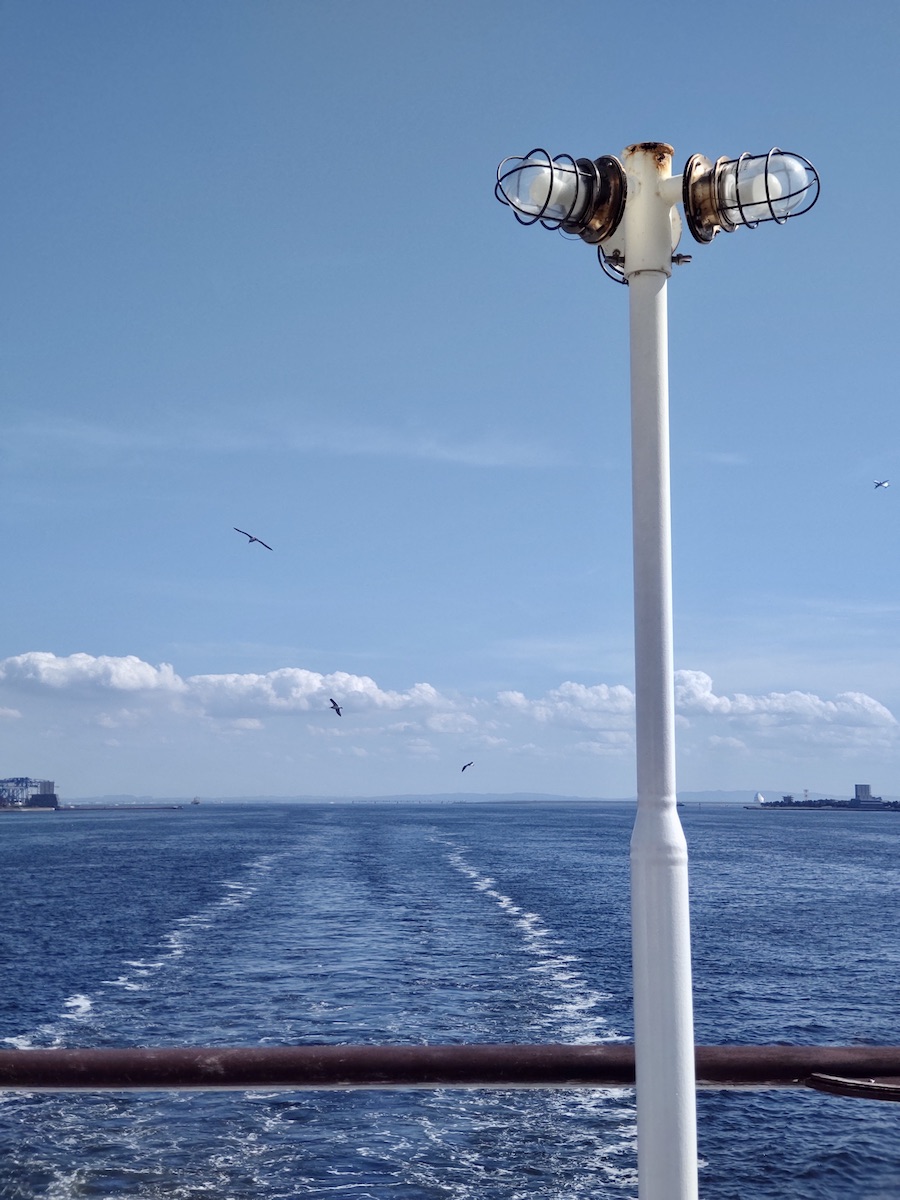 Backside of the Symohony cruise