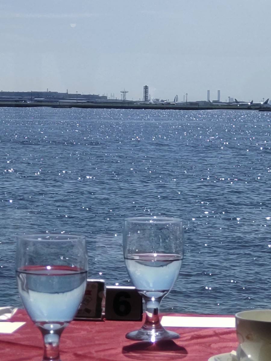 View from the Symphony cruise