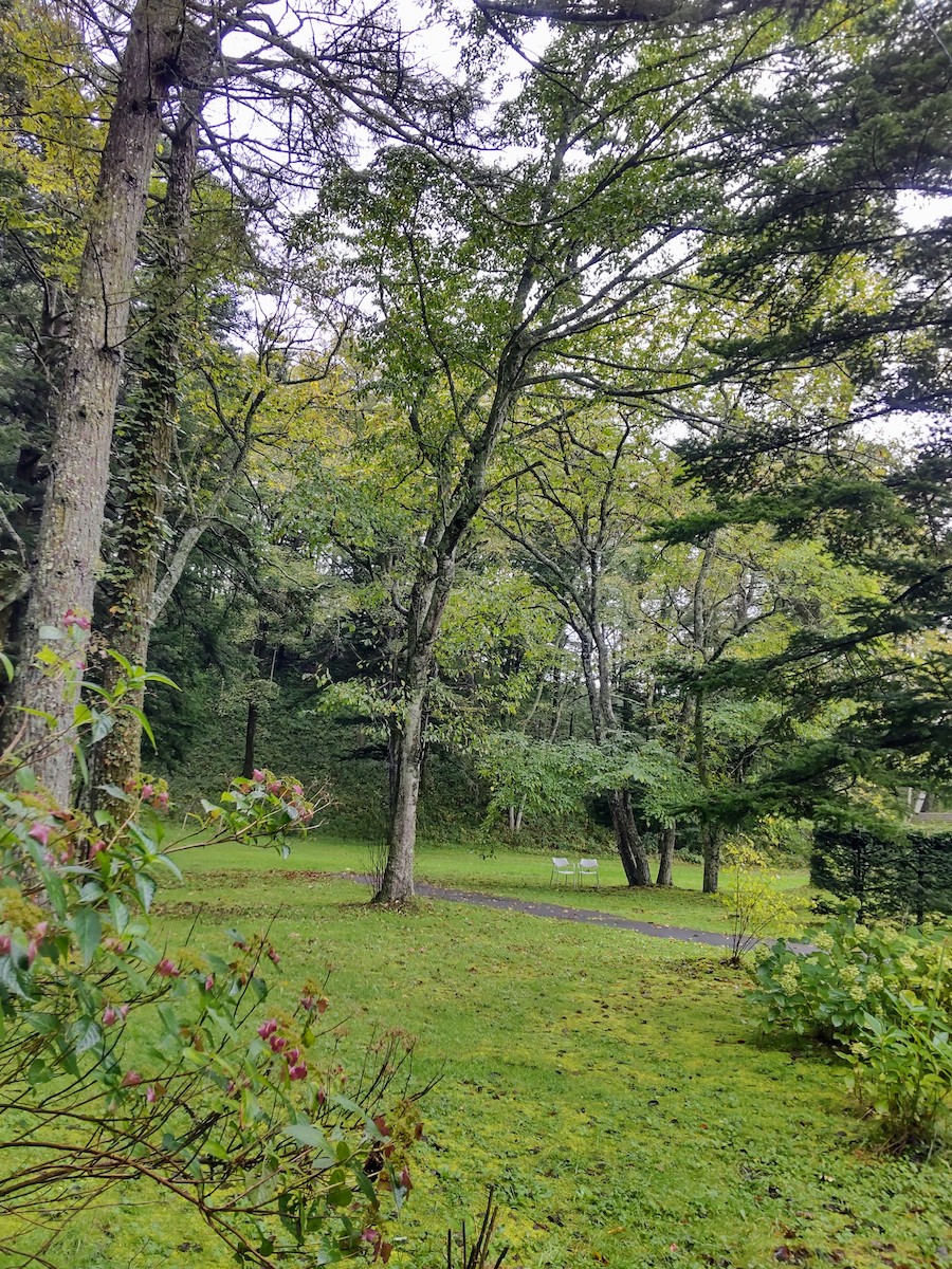Rose garden in Karuizawa Taliesin Park