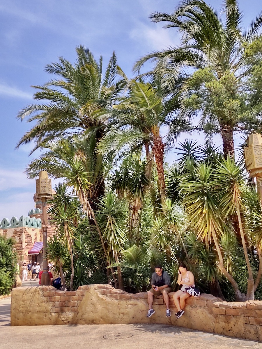 Lush palm trees under a clear blue sky in the Arabian Coast area of Tokyo DisneySea.