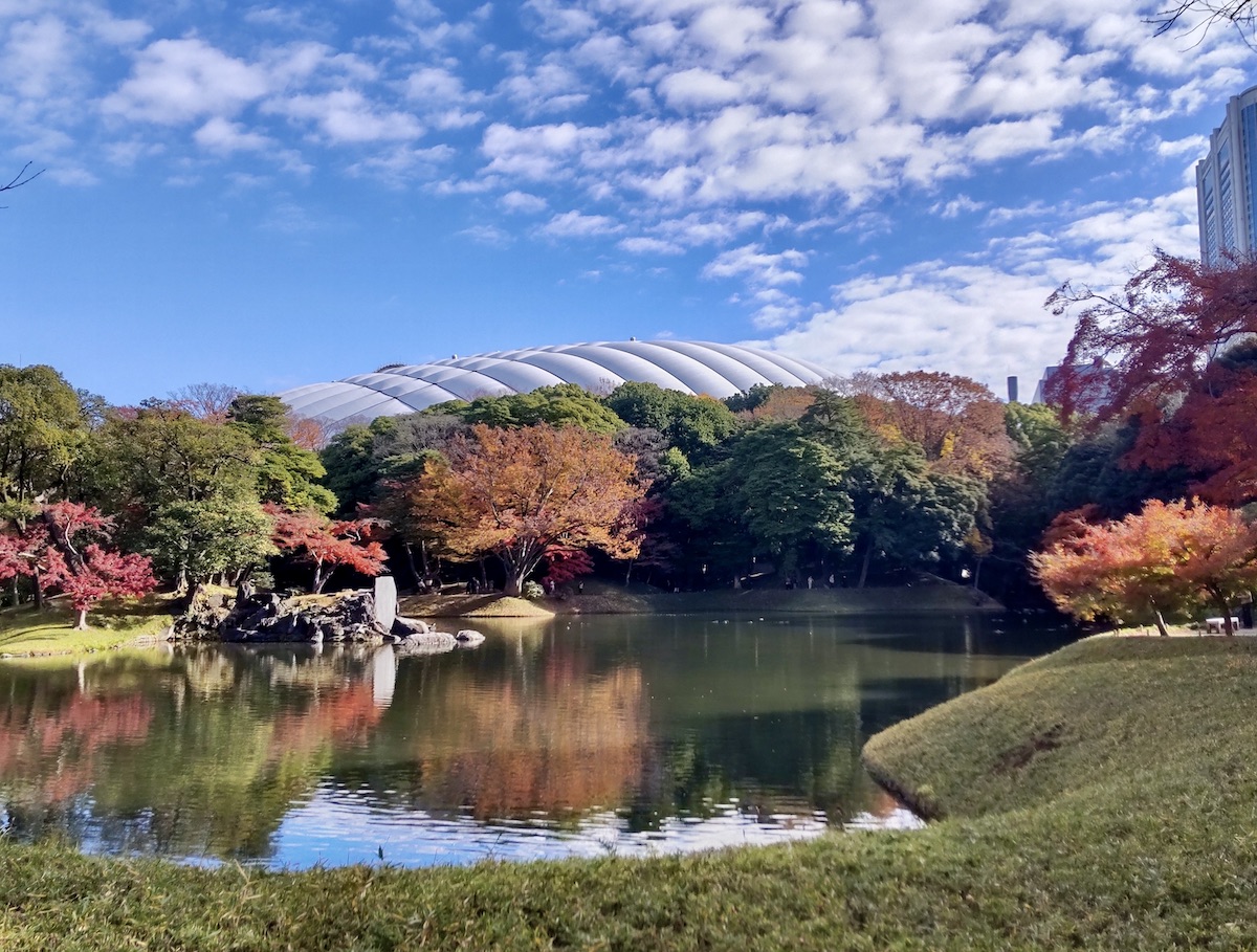 A sunny day with autumn-colored trees surrounding a pond, and Tokyo Dome visible in the background