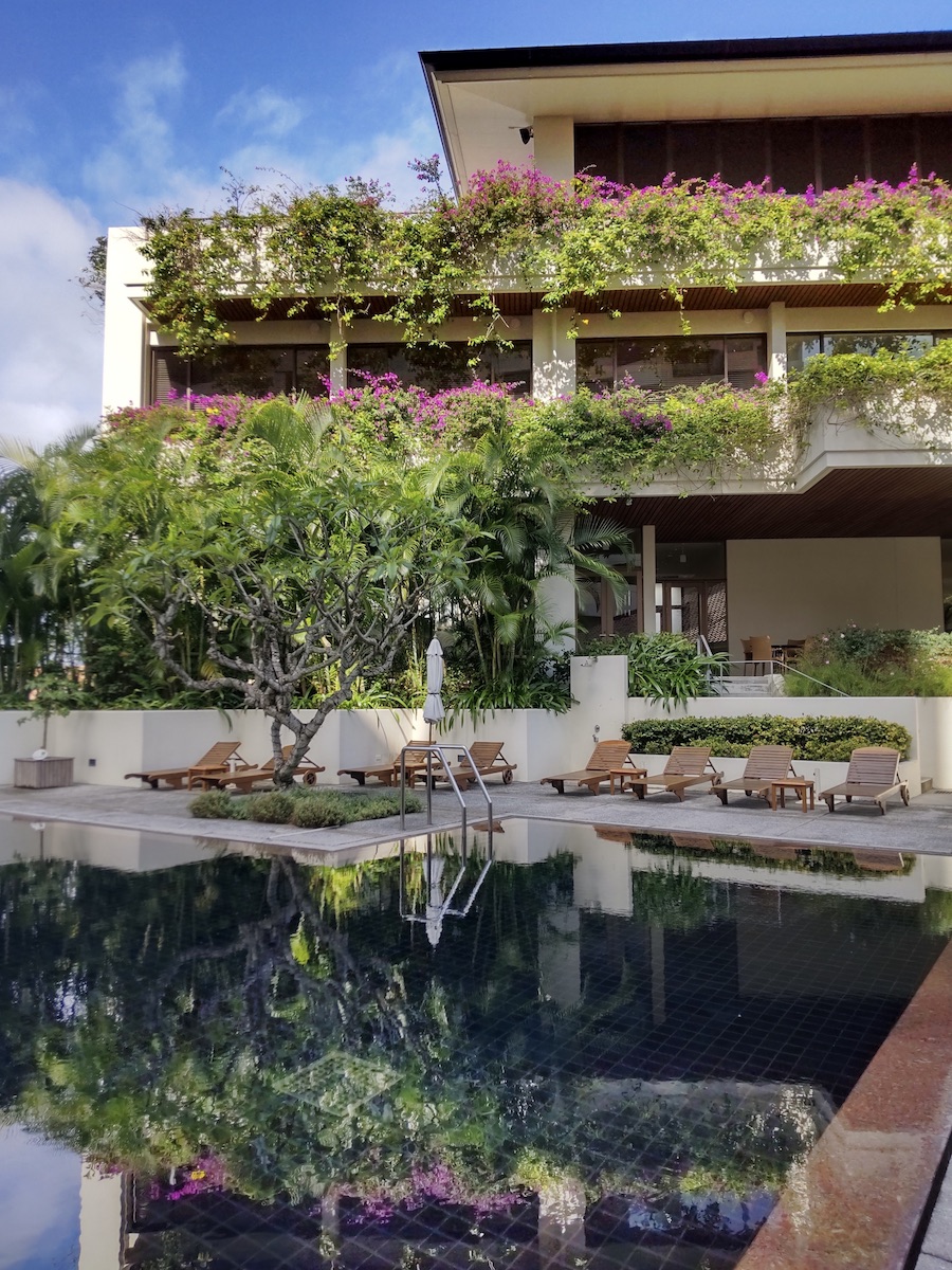 The pool surrounded by lush greenery and flowers