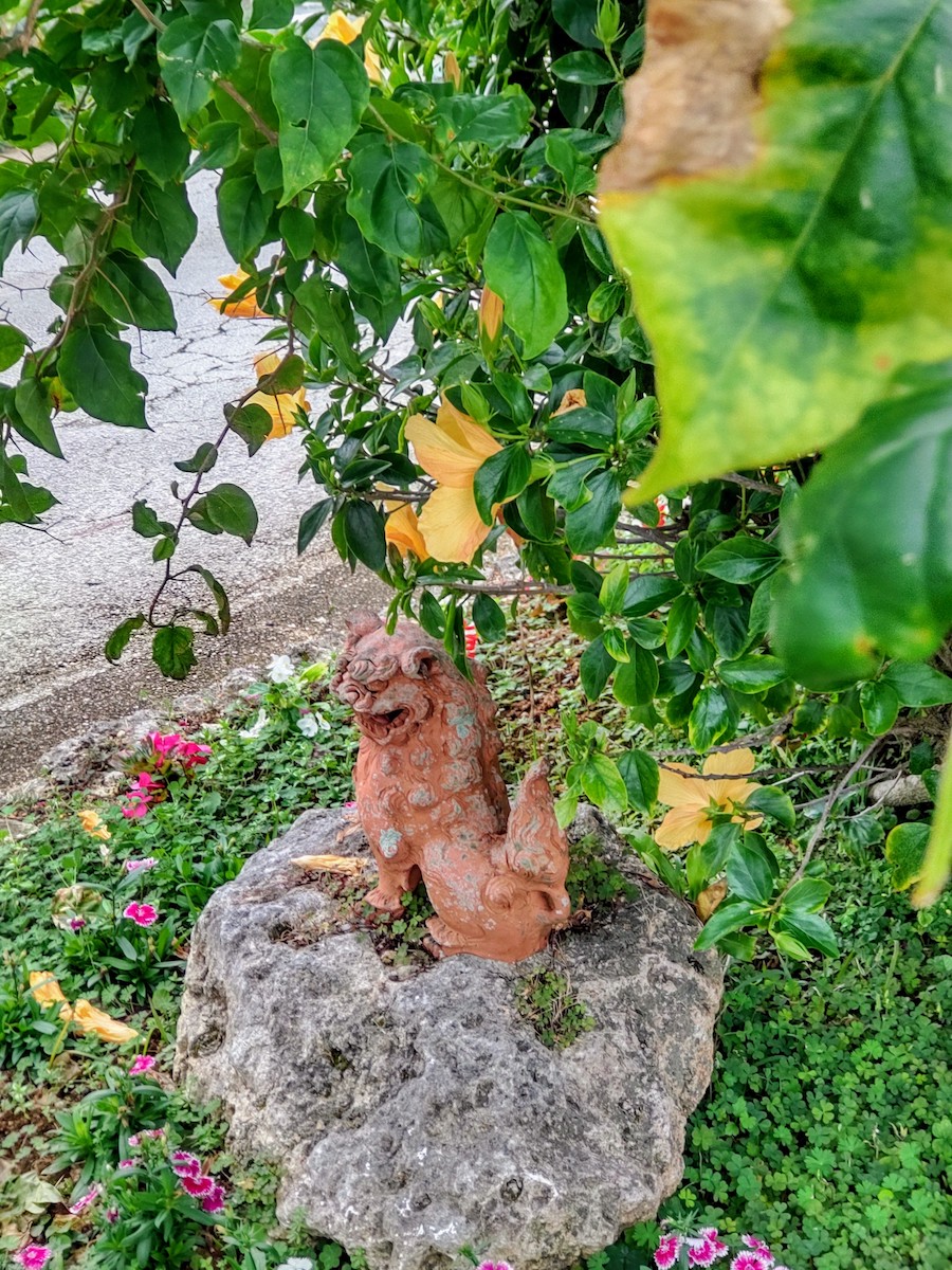 A shi-sa statue surrounded by lush greenery and flowers