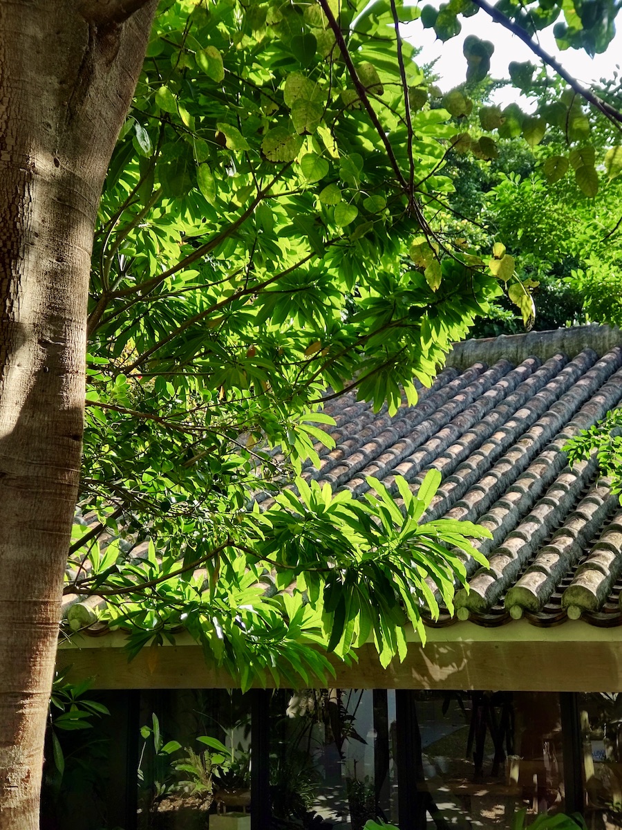 Okinawan Tiled Roofs of a restaurant